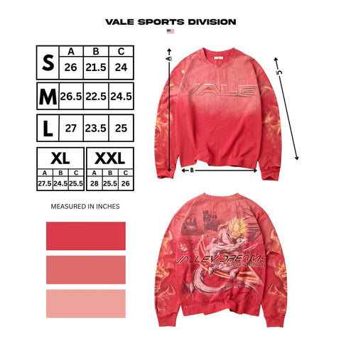 Vale Forever Budokai Long Sleeve Tee Faded Red