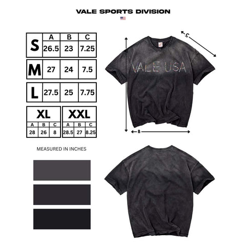 Vale Forever DIY Vale USA Tee Faded Black